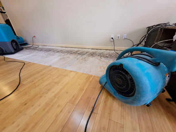 Professional Structural Drying technician working in Soquel, CA